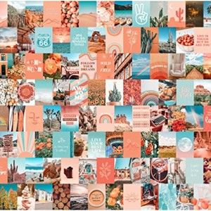 Meet your Posher, Dev